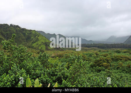 Une luxuriante forêt tropicale couvrant Wailua Canyon avec cinq cascades qui descendent des cliffsides, à Kula, Maui, États-Unis Banque D'Images