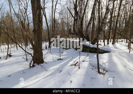 Site de la grange à la ferme au Ricker Gédéon Ricker communauté agricole du bassin abandonné sur la montagne de Ricker de Waterbury, Vermont. Joseph Ricker est Banque D'Images