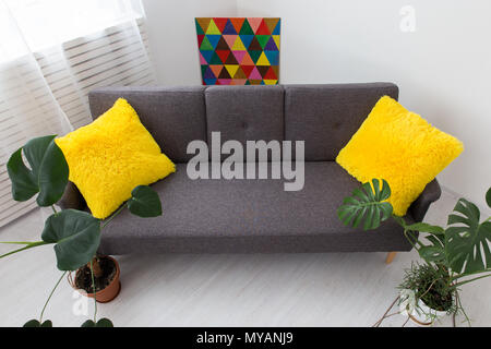 Studio moderne avec les végétaux vivants. couleurs lumineuses de l'intérieur. gris canapé avec coussins jaunes Banque D'Images