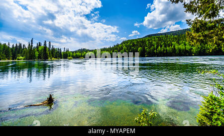 Belle vue sur le reflet dans le haut niveau de l'eau du lac Clearwater dans le parc provincial Wells Gray en C.-B., Canada Banque D'Images