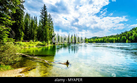 Belle vue sur le reflet dans le haut niveau de l'eau du lac Clearwater dans le parc provincial Wells Gray en C.-B., Canada Banque D'Images