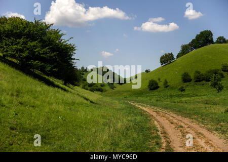 Zagajica hills en Serbie, beau paysage à un jour d'été Banque D'Images