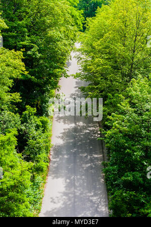 Non vide route asphaltée en forêt dense et arbustes (vue de dessus). Banque D'Images