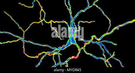 Illustration d'ordinateur, neurone dopaminergique. Les neurones dopaminergiques sont des cellules du cerveau dont le principal neurotransmetteur est la dopamine. La dégénérescence de ces cellules entraîne les symptômes de la maladie de Parkinson. Ces symptômes comprennent des tremblements, rigidité musculaire, troubles de l'équilibre et de la dépression. Les cellules gliales-derived neurotrophic factor favorise la survie et la différenciation des neurones dopaminergiques et donc peut être utile comme traitement. Banque D'Images