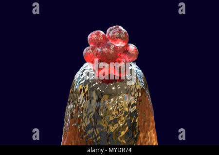 Les droits de l'blastocyste à une extrémité de l'axe. Illustration d'ordinateur conceptuel de la fécondation artificielle. Banque D'Images