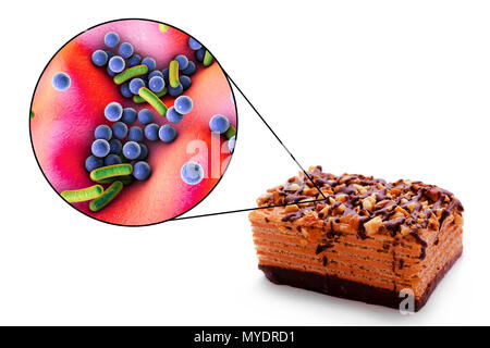 Toxi-infections, illustration conceptuelle. Une infection d'origine alimentaire est une maladie infectieuse qui se développe après l'ingestion de micro-organismes pathogènes avec de la nourriture. De nombreuses bactéries sont responsables d'infections à Staphylococcus aureus (y compris les bactéries sphériques), Escherichia coli, Shigella sp. et Salmonella sp. (Les bactéries en forme de tige). Banque D'Images