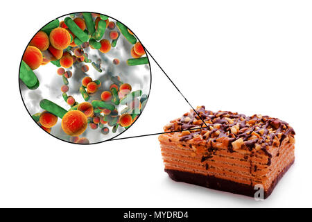 Toxi-infections, illustration conceptuelle. Une infection d'origine alimentaire est une maladie infectieuse qui se développe après l'ingestion de micro-organismes pathogènes avec de la nourriture. De nombreuses bactéries sont responsables d'infections à Staphylococcus aureus (y compris les bactéries sphériques), Escherichia coli, Shigella sp. et Salmonella sp. (Les bactéries en forme de tige). Banque D'Images