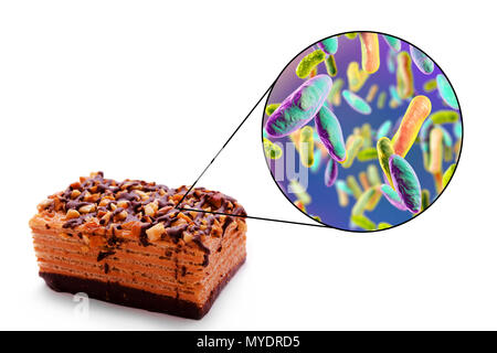 Toxi-infections, illustration conceptuelle. Une infection d'origine alimentaire est une maladie infectieuse qui se développe après l'ingestion de micro-organismes pathogènes avec de la nourriture. De nombreuses bactéries sont responsables d'infections, y compris les Enterobacteriaceae comme Escherichia coli, Shigella sp. et Salmonella sp.. Banque D'Images