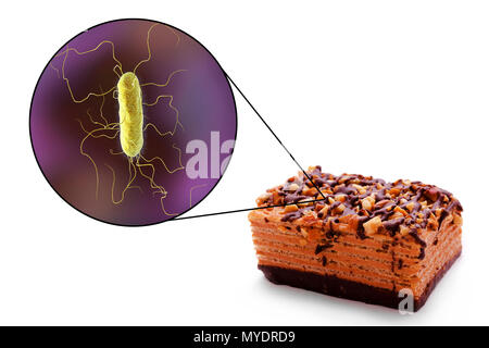 Les maladies, l'illustration conceptuelle. Une infection d'origine alimentaire est une maladie infectieuse qui se développe après l'ingestion de micro-organismes pathogènes avec de la nourriture. De nombreuses bactéries sont responsables d'infections, y compris les bactéries du genre Proteus Proteus mirabilis, en particulier. Banque D'Images