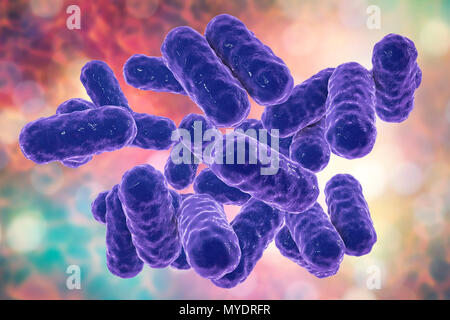 La bactérie Enterobacter sp., illustration de l'ordinateur. Ce sont des bacilles Gram-négatifs (forme de tige) des bactéries. Les membres du genre Enterobacter existent dans l'eau, le sol, les eaux usées et le tractus urinaire et intestinale des humains et des animaux. L'une des espèces communes, E. cloacae, peut être la cause des infections urinaires et des infections des voies respiratoires chez les patients hospitalisés avec une immunité réduite, et peut également infecter les plaies sur la peau. Ces bactéries présentent souvent une résistance à plusieurs antibiotiques. Banque D'Images