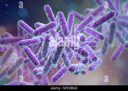 Les bactéries entérobactéries, illustration de l'ordinateur. Ce sont des bactéries Gram négatif, en forme de tige, les bactéries. La famille des Enterobacteriaceae comprend les genres Escherichia, Klebsiella, Shigella, Salmonella, Yersinia, Citrobacter, Enterobacter et. Certaines de ces bactéries causent des infections diarrhéiques (Salmonella, Shigella). D'autres sont des représentants du microbiome normal de l'intestin et d'autres organes (Escherichia coli, Klebsiella spp.), mais peut aussi causer des maladies dans certains endroits (infection de la plaie chirurgicale, infection des voies urinaires) ou en cas de diminution de l'immunité (pneumonie en postopératoire Banque D'Images