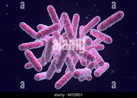 Les bactéries entérobactéries, illustration de l'ordinateur. Ce sont des bactéries Gram négatif, en forme de tige, les bactéries. La famille des Enterobacteriaceae comprend les genres Escherichia, Klebsiella, Shigella, Salmonella, Yersinia, Citrobacter, Enterobacter et. Certaines de ces bactéries causent des infections diarrhéiques (Salmonella, Shigella). D'autres sont des représentants du microbiome normal de l'intestin et d'autres organes (Escherichia coli, Klebsiella spp.), mais peut aussi causer des maladies dans certains endroits (infection de la plaie chirurgicale, infection des voies urinaires) ou en cas de diminution de l'immunité (pneumonie en postopératoire Banque D'Images