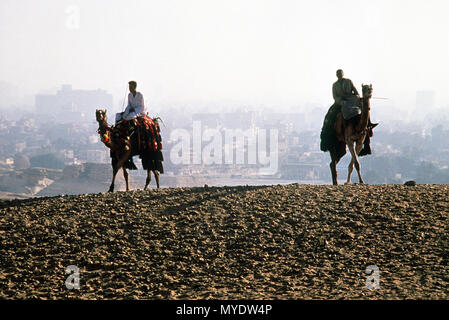 Deux chameaux avec leurs gestionnaires sont vus sur une colline avec Le Caire (Egypte) en arrière-plan. Légende originale membres date exacte shot inconnu (1990) Métadonnées cependant par Banque D'Images