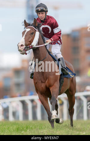 Stockholm, Suède./ 6 Juin, 2018. Chevaux à Nationaldagsgaloppen à vitesse rapide à Gardet avec gazon herbe verte. La Suède Crédit : Stefan Holm/Alamy Live News Banque D'Images