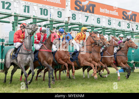 Stockholm, Suède./ 6 Juin, 2018. Chevaux à Nationaldagsgaloppen à vitesse rapide à Gardet avec gazon herbe verte. La Suède Crédit : Stefan Holm/Alamy Live News Banque D'Images