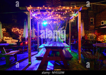 Le jardin illuminé au Village Inn, vieux village de Shanklin, sur l'île de Wight, ressemble enchanteresse la nuit après la pluie. Banque D'Images