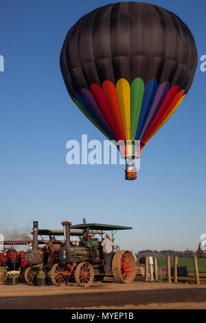 WOODBURN, OREGON - 13 Avril 2014 : un ballon à air chaud en prenant un vol du matin, sur un champ de tulipes en fleurs et de vieux tracteurs à Plattsburgh, NY Le 13 avril Banque D'Images