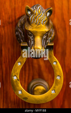 Porte avec heurtoir en laiton en forme de cheval, belle entrée de la maison, décoration vintage Banque D'Images