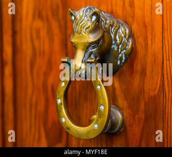 Porte avec heurtoir en laiton en forme de cheval, belle entrée de la maison, décoration vintage Banque D'Images