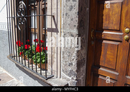 Boîte à fleurs et de porte Banque D'Images