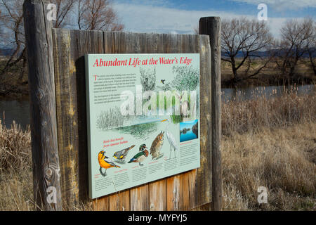 Sentier de découverte du marais d'interprétation, Tule Lake National Wildlife Refuge, en Californie Banque D'Images