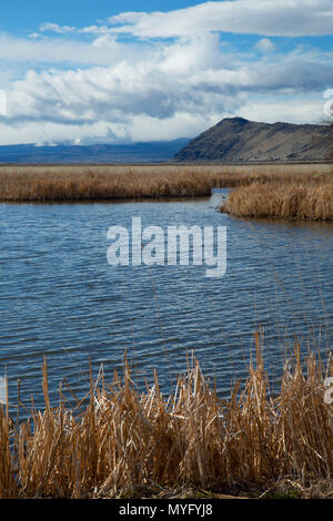 Le long de l'étang des marais Découverte Nature Trail, Tule Lake National Wildlife Refuge, en Californie Banque D'Images