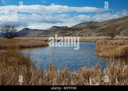 Le long de l'étang des marais Découverte Nature Trail, Tule Lake National Wildlife Refuge, en Californie Banque D'Images