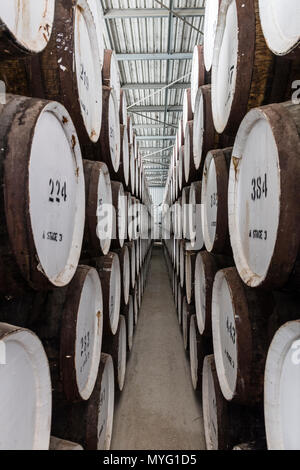 Une énorme collection de vin de barils empilés et stockés dans un hangar de l'âge et de maturité. Banque D'Images