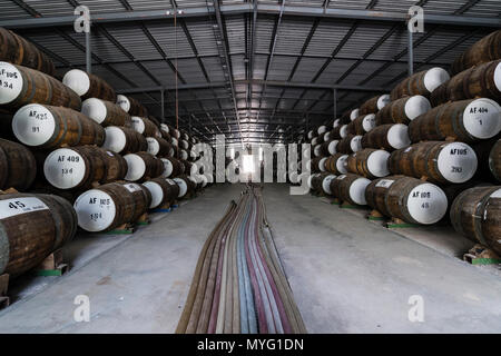 Une énorme collection de vin de barils empilés et stockés dans un hangar de l'âge et de maturité. Banque D'Images