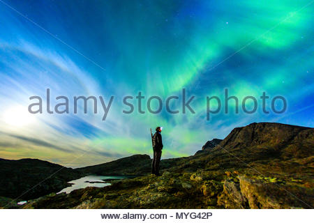 Un ours polaire se garde sous une pleine lune et Northern Lights. Banque D'Images