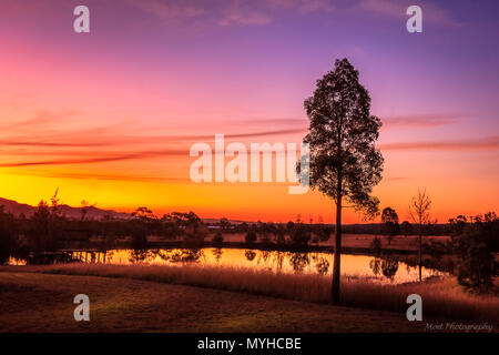 Coucher de soleil sur un barrage dans la Hunter Valley Vineyards Banque D'Images