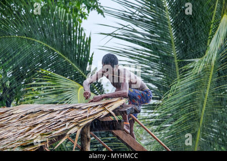 1 mai 2018 - L'archipel de Myeik, Myanmar. Homme Moken chaume une cabane dans la pluie Banque D'Images