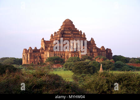 Plus grand temple Dhammayangyi, ruine à Bagan, Myanmar Banque D'Images