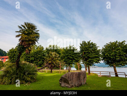 Jardin sur la rive du lac Majeur, Cannero Riviera Beach, Italie Banque D'Images