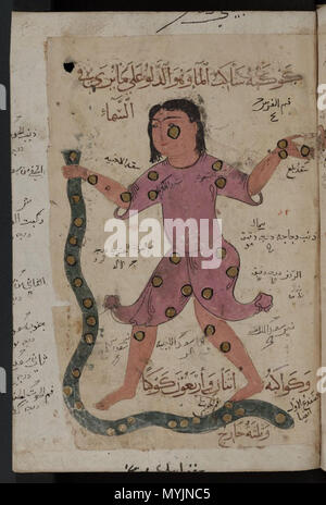 . Kitab al-Bulhan  = astrologie/astronomie/composite la géomancie arabe manuscrit . Fin du 14ème siècle. Plusieurs/Inconnu 297 Kitab al-Bulhan --- l'homme et le serpent Banque D'Images