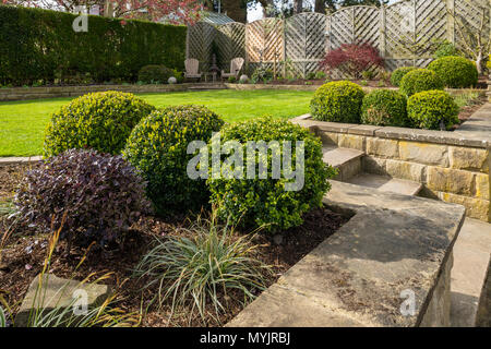 Coin de belle, paysagé, jardin privé avec un design contemporain, border les plantes, terrasse, pelouse & terrasses - Yorkshire, Angleterre, Royaume-Uni. Banque D'Images