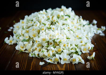 La floraison des fleurs de jasmin déchiré sur une table en bois Banque D'Images