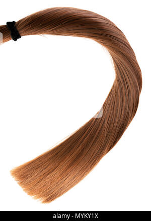 Longue queue de cheveux brun sain tout droit sur fond blanc Banque D'Images