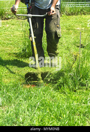 L'homme vert de la tonte d'herbe sauvage champ à l'aide de la faucheuse débroussailleuse ou chaîne d'outils de jardin tondeuse à gazon. Pour tondre une herbe avec la tondeuse. Trimer tond la pelouse. Banque D'Images