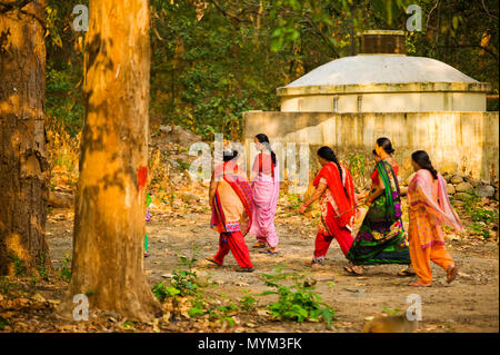 Femme indienne en vêtements traditionnels randonnées au Kaladhungi - Naini Tal Road, Kaladhungi, Uttarakhand, Inde Banque D'Images