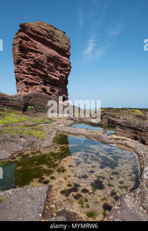 Le Deil's Heid (Devils Head) Mer de grès rouge, pile, falaises Seaton Arbroath, Angus, Scotland. Banque D'Images