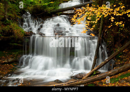 Wagner Wagner, Falls Falls Scenic Site, Michigan Banque D'Images