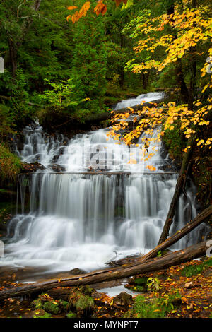 Wagner Wagner, Falls Falls Scenic Site, Michigan Banque D'Images