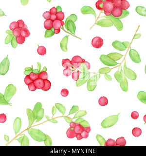 Airelle rouge airelle, motif transparent papier peint à l'aquarelle avec des baies et des feuilles isolées sur fond blanc Banque D'Images