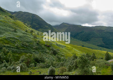 Vue générale vers l'Mamores près de l'eau de Nevis et Steall Falls à partir d'une marche de Polldubh Achriabhach et dans les collines au pied du Ben Nevis, Highl Banque D'Images