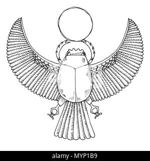 Croquis du scarabée Égyptien. Vector illustration. Illustration de Vecteur