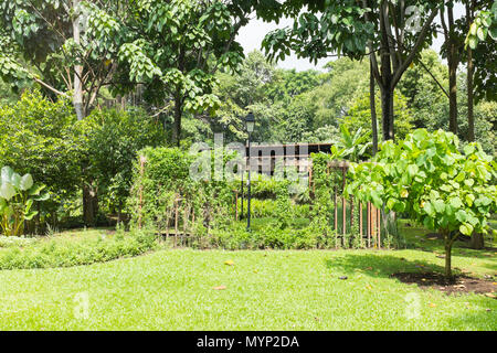 Le Jardin d'épices à Fort Canning Park à Singapour Banque D'Images