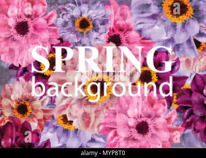 Vintage Spring background avec des fleurs Daisy. Vector illustration Illustration de Vecteur