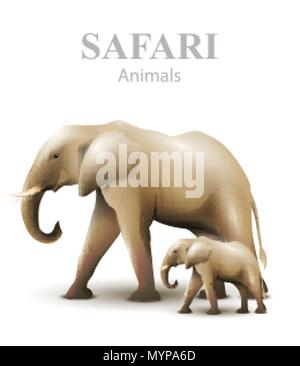Vector illustration isolé les éléphants. Modèle de la faune animaux Illustration de Vecteur