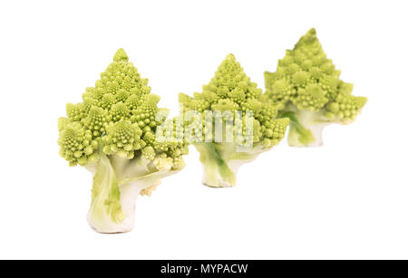 Trois brins de chou Romanesco dans une rangée sur un fond blanc Banque D'Images